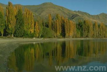 Lake Wanaka