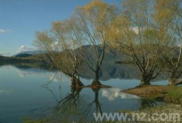 Lake Wanaka